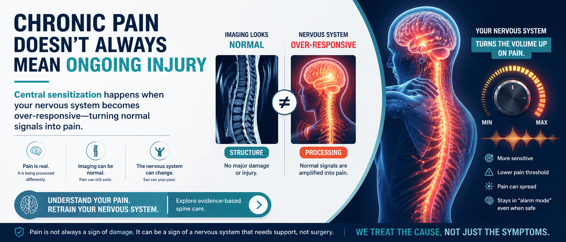 nervous system and spine health spinal