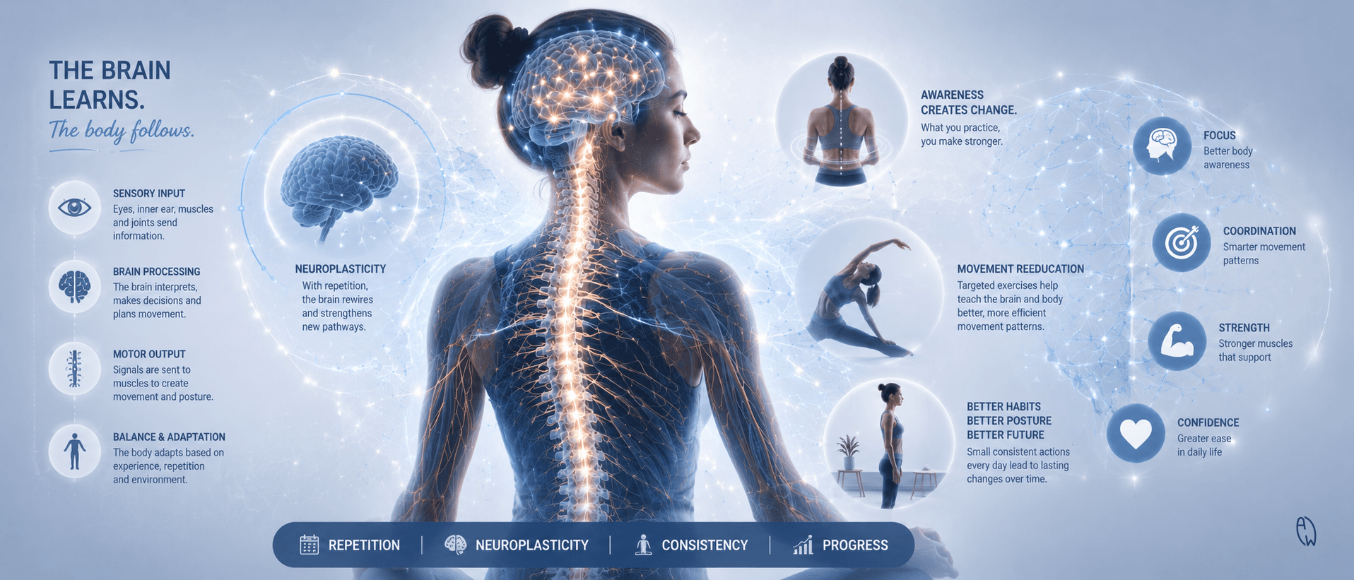 Medical illustration showing the brain, spine, nervous system, and muscles working together through neuroplasticity and proprioception in scoliosis rehabilitation.