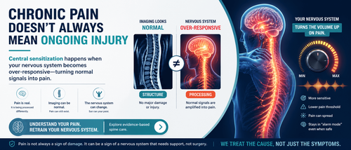 nervous system and spine health spinal