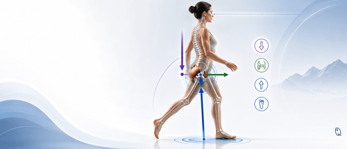 Anatomical illustration of hip biomechanics during walking, showing single-leg stance, pelvic balance, ground reaction force, and hip stabilizing muscles.